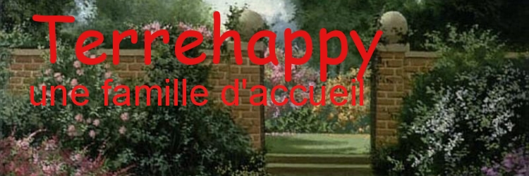 Creation et referencement manuel sites web